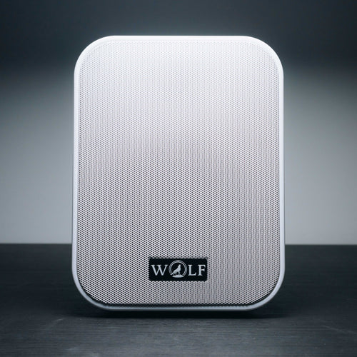 Sound Pulse 100